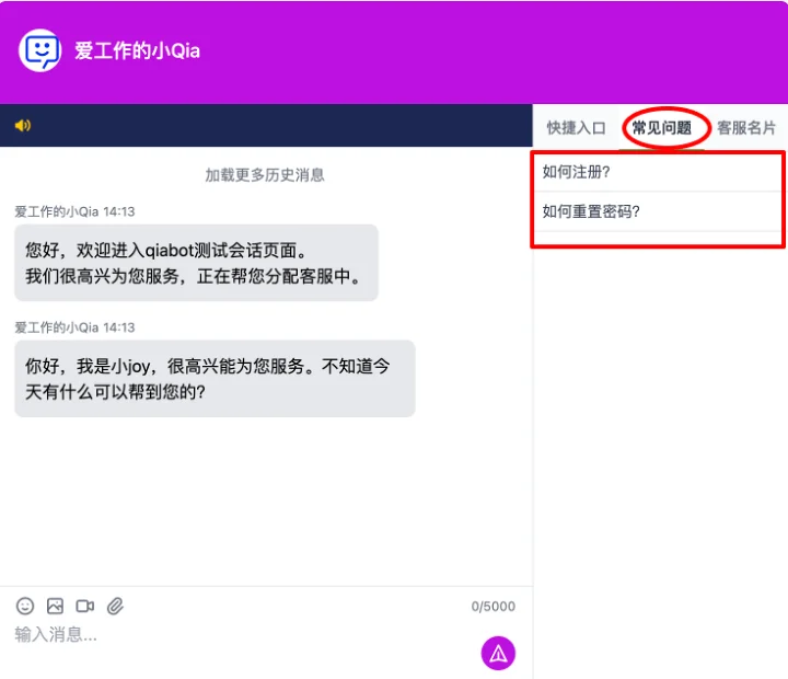 电脑网页端常见问题显示效果